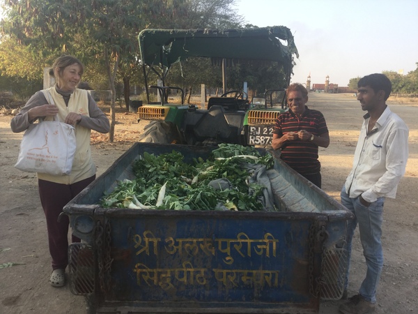 mooli selling on the 13th 600